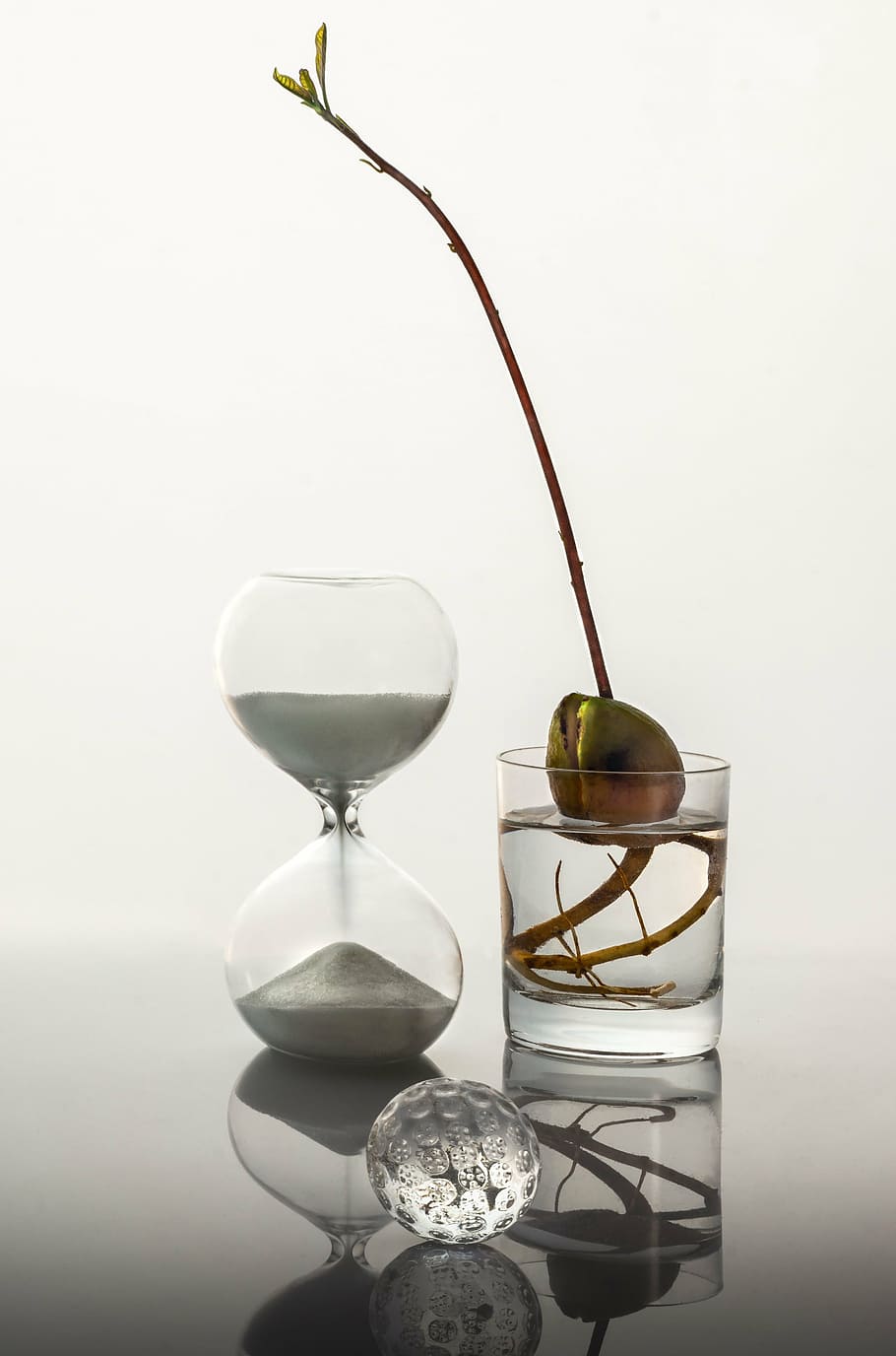 time, glass, sprout, white, sand, clock, studio shot, no people, HD wallpaper
