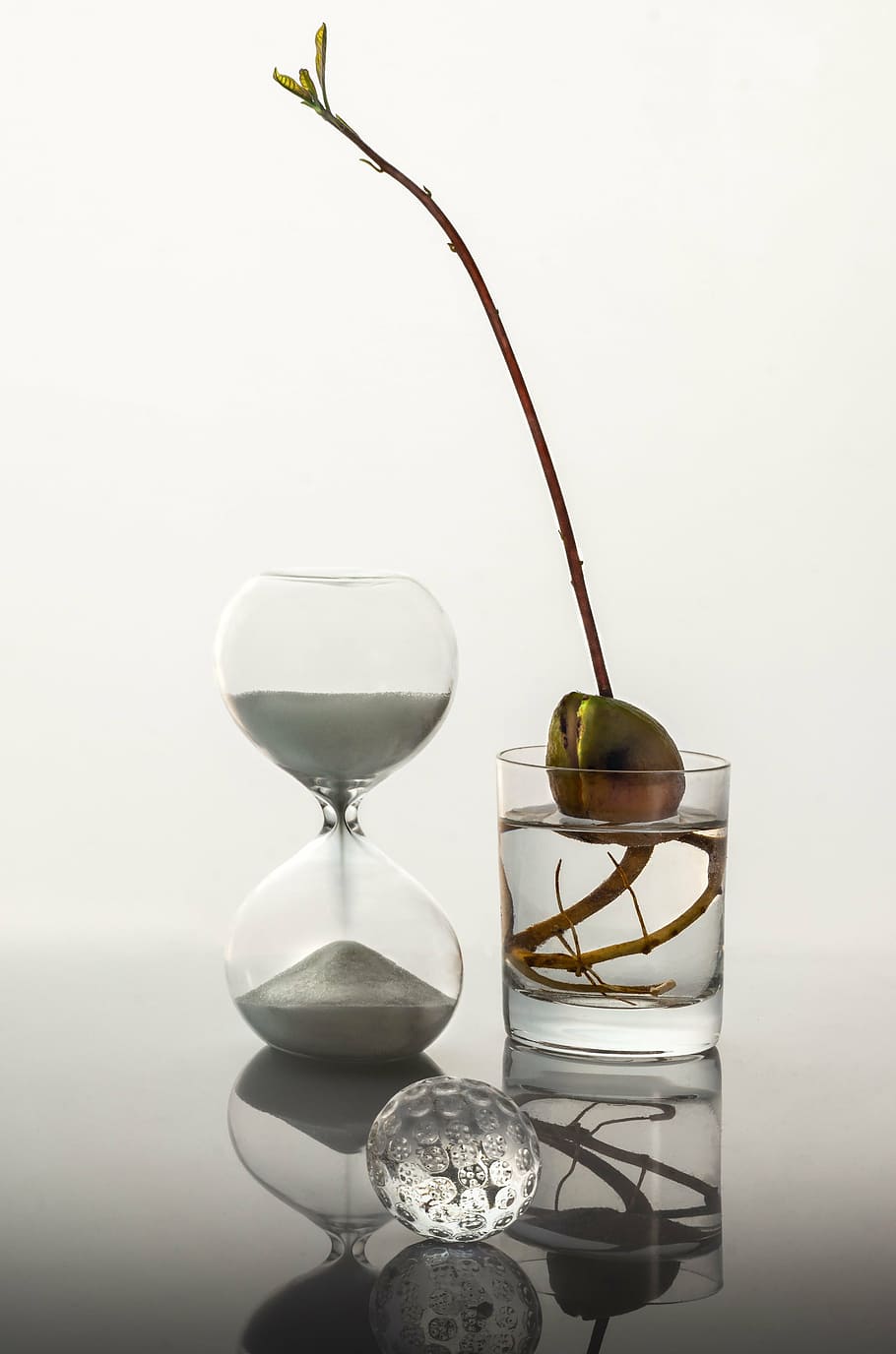 time, glass, sprout, white, sand, clock, studio shot, no people HD wallpaper