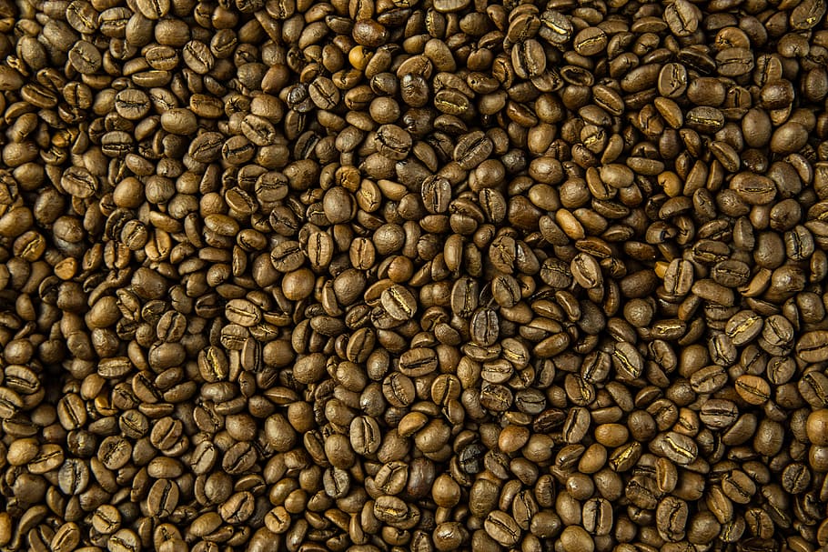 Close-up shot of fresh coffee beans, food/Drink, brown, roasted