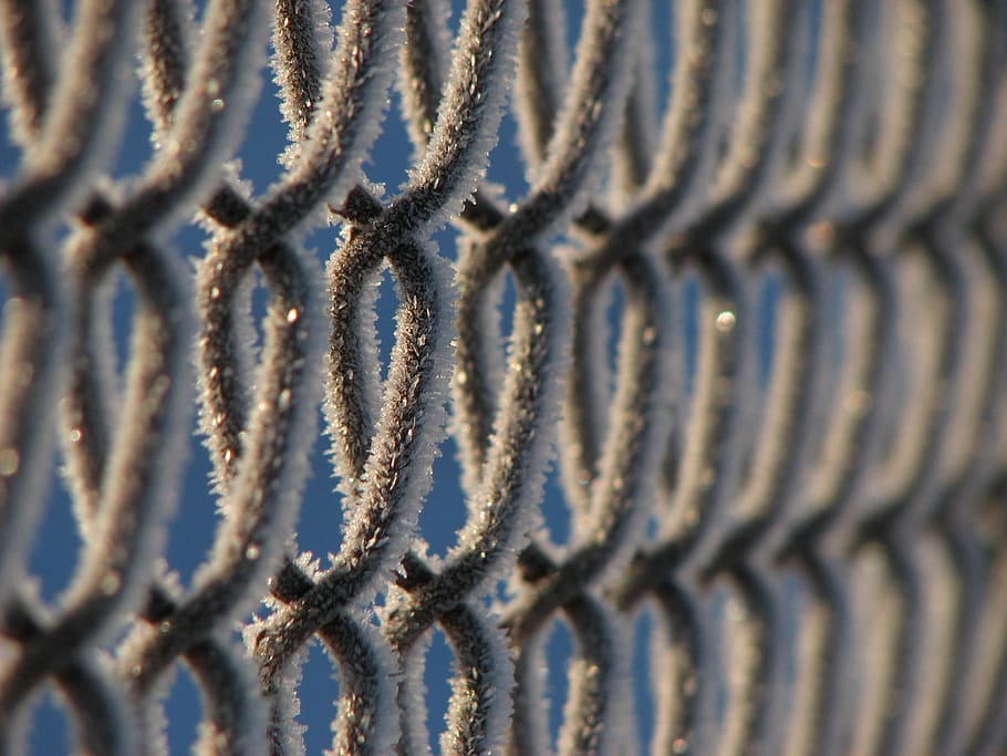 pattern, background, frost, cold, ice, winter, hoarfrost, fence HD wallpaper