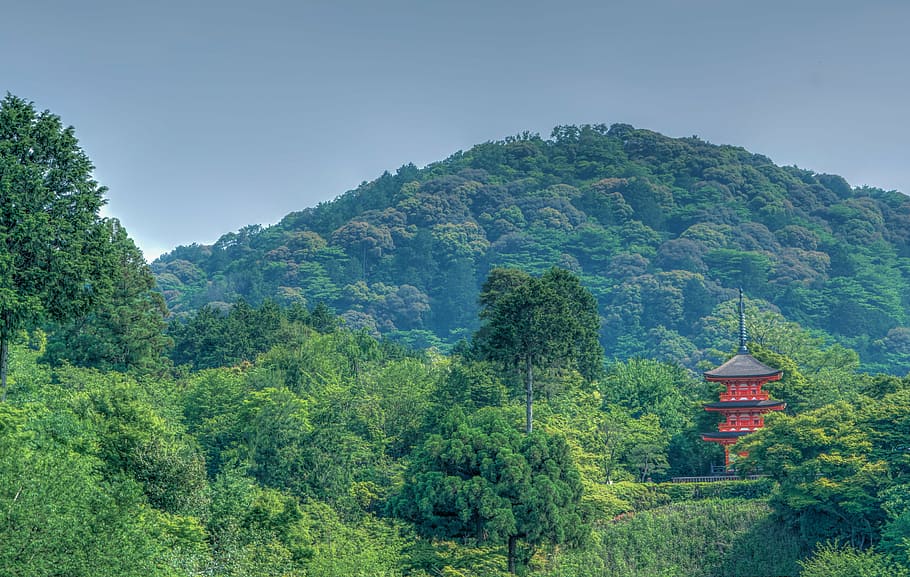 kyoto, japan, mountains, landscape, kiyomizu temple, asia, japanese, HD wallpaper