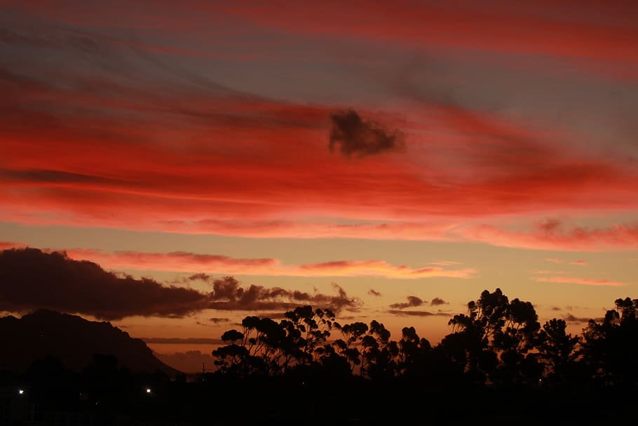 silhouette of trees under red clouds, silhouette of trees beside mountain HD wallpaper
