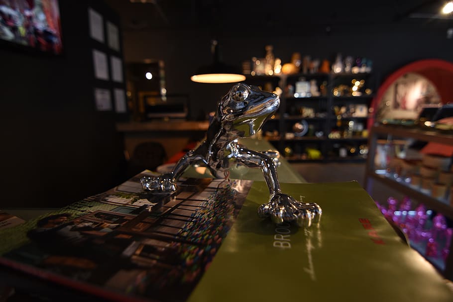 chameleon, statue, monument, indoors, table, selective focus HD wallpaper