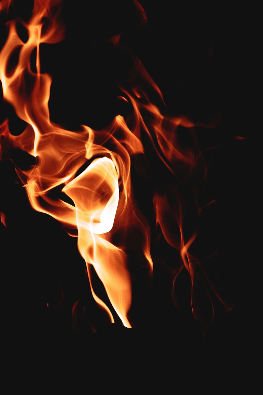 macro photography of flame, red fire, burn, heat, abstract, campfire