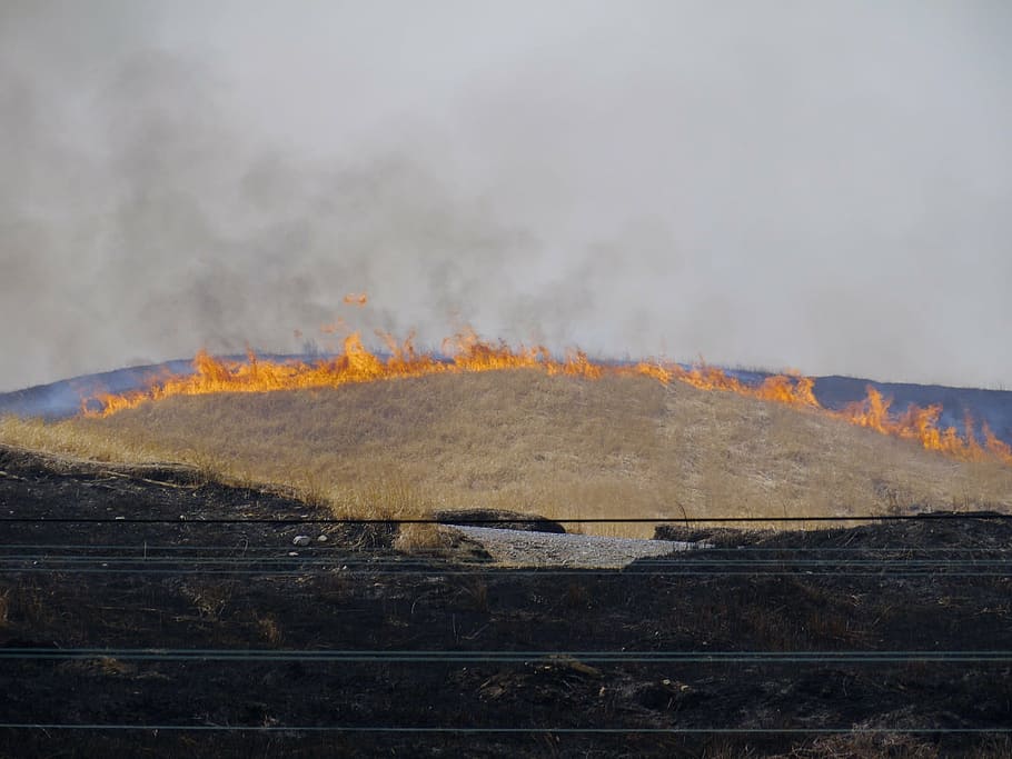 open burning, flame, fire, smoke - Physical Structure, fire - Natural Phenomenon HD wallpaper
