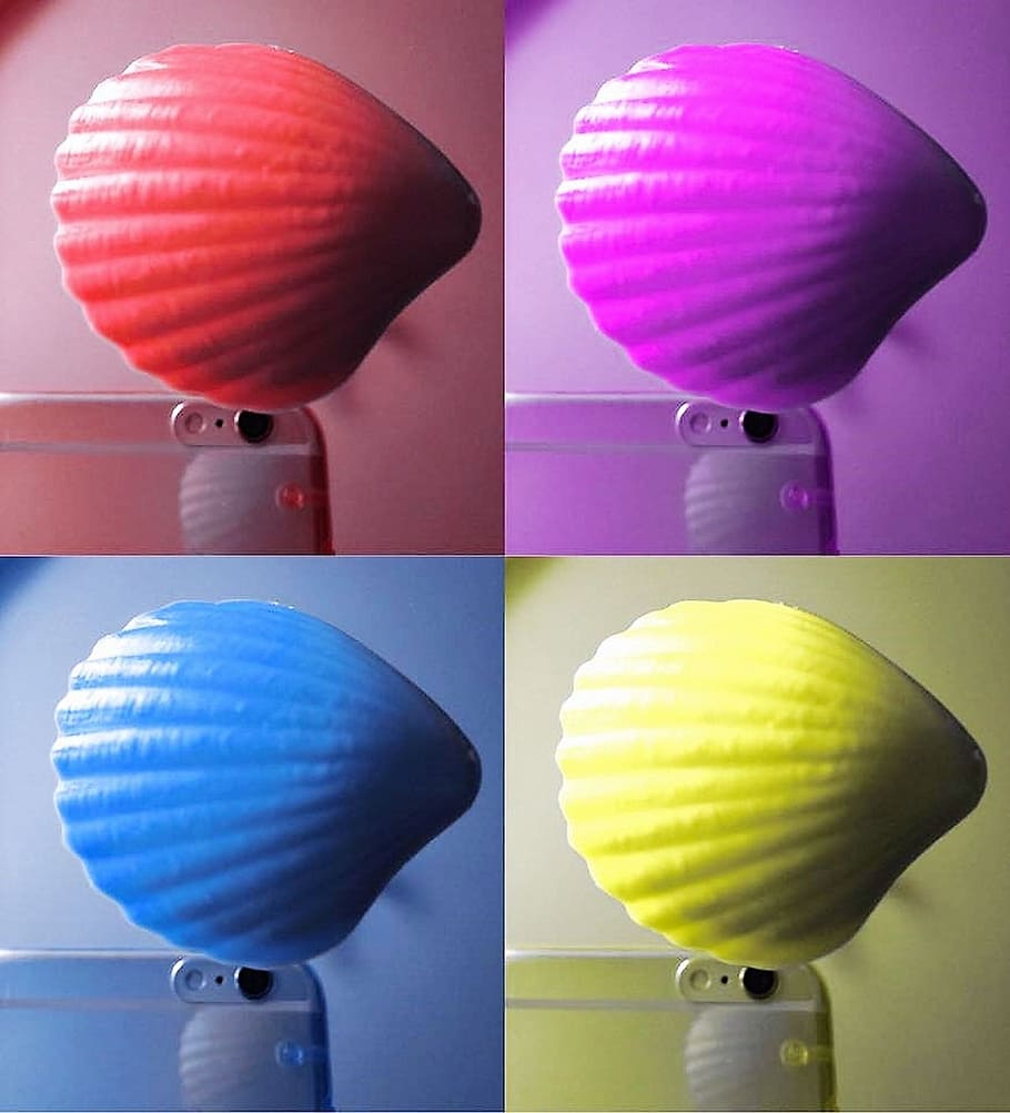 selfie, shell, colorful, lichtspiel, art, indoors, multi colored HD wallpaper