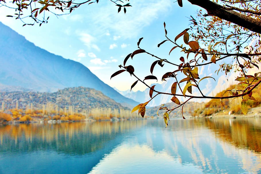 photo of lake near mountain during daytime, Tree, Pakistan, Nature