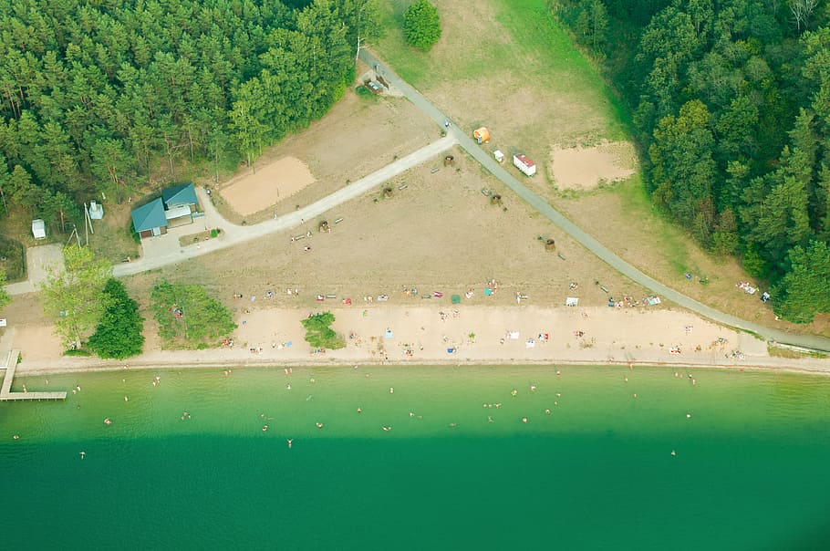 aerial view photography of beachfront, aerial view of sea near tall trees HD wallpaper
