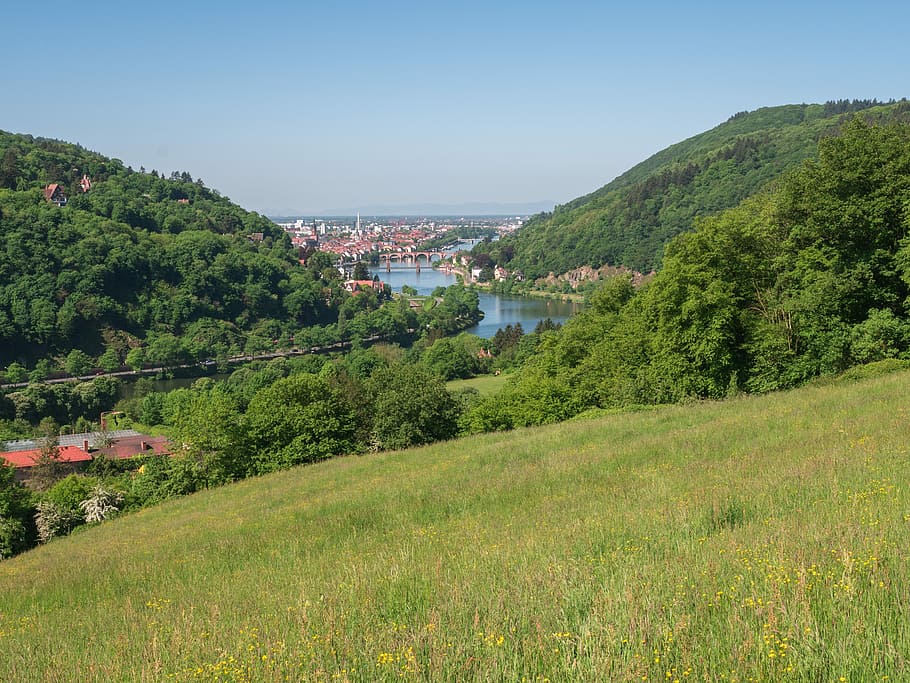 landscape, river landscape, trees, meadow, plant, water, architecture HD wallpaper