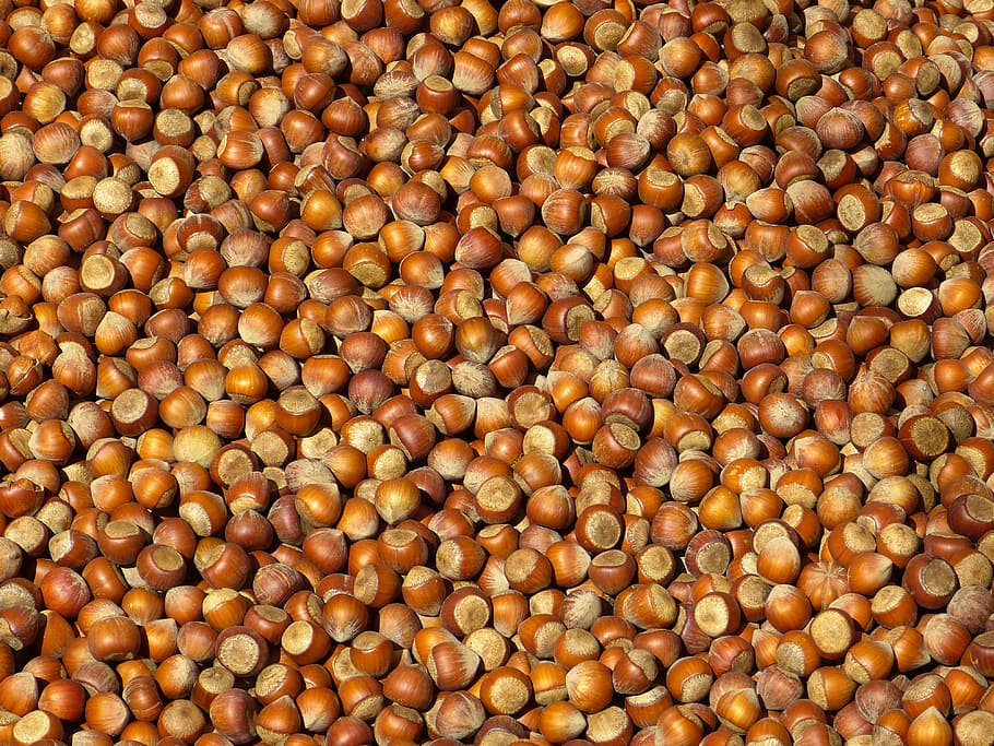 Nut, Nuts, Hazelnuts, Shell, Brown, market, food, tasty, nutritious HD wallpaper