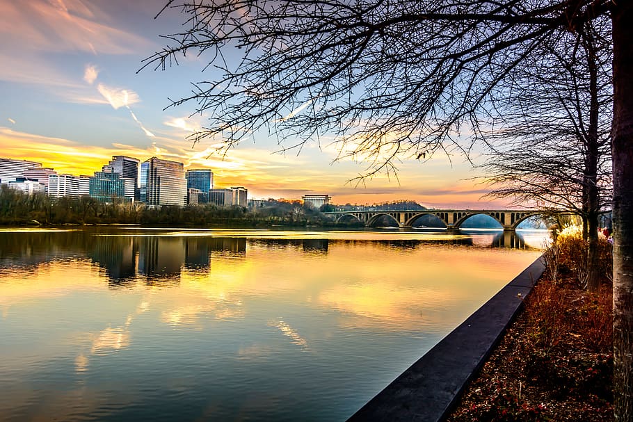 dawn, reflection, water, tree, sunset, river, nature, sky, dusk HD wallpaper