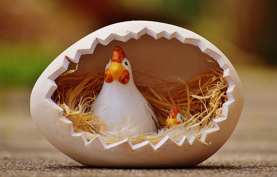 hen's nest themed decor close-up photo, easter, egg, colorful HD wallpaper