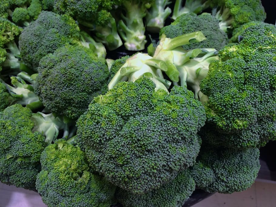 photography of broccoli, green, young and vivacious, vivid, vegetables, HD wallpaper