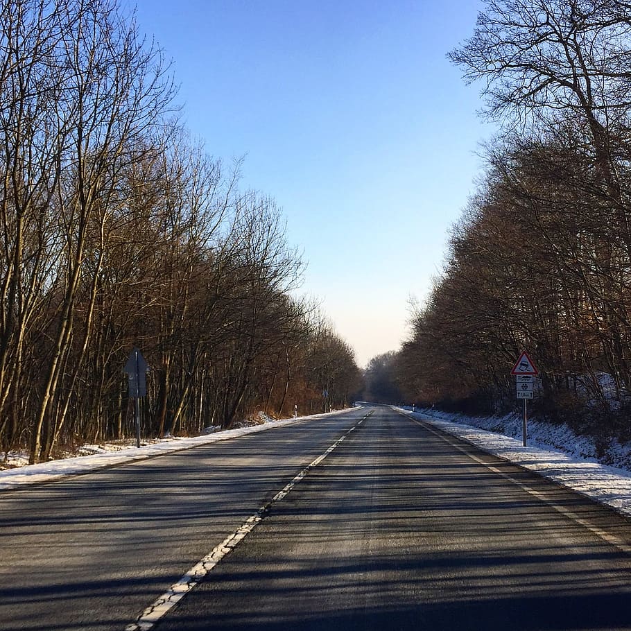 Winter, Road, Forest, Nature, Snowy Road, trees, transport HD wallpaper