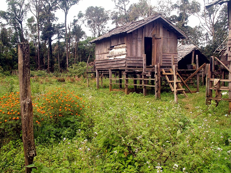 Pile Dwelling, Crannog, Stilt Houses, hut, cabin, wooden, shack, HD wallpaper