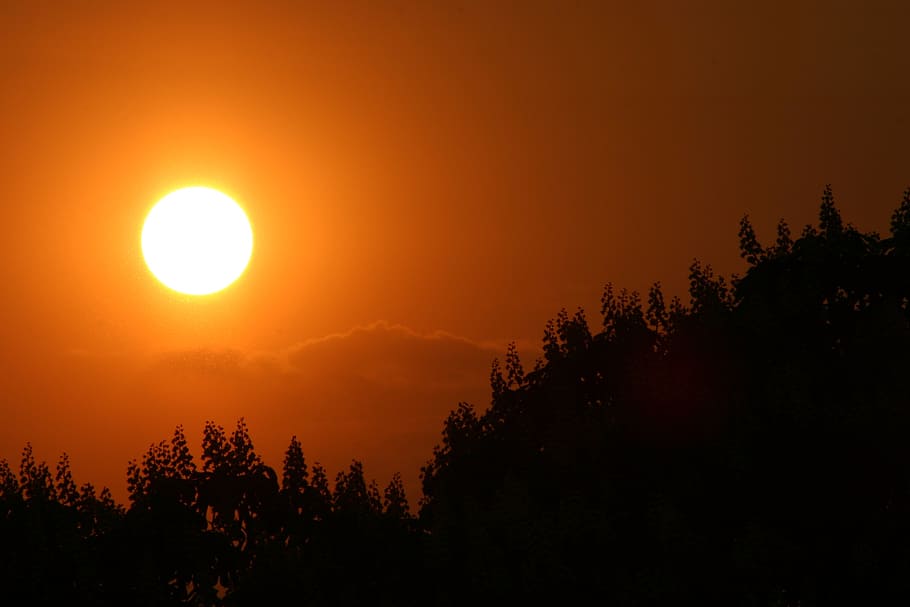 sunset, chestnut, autumn, beauty in nature, scenics - nature HD wallpaper
