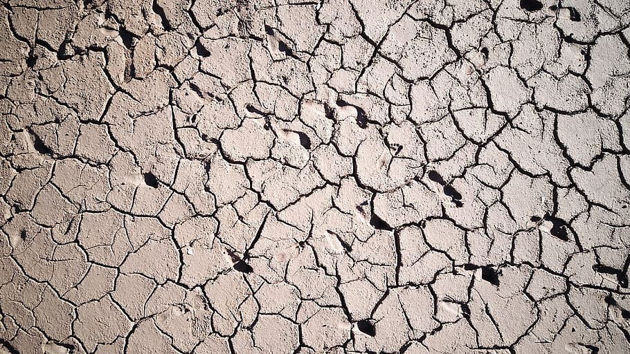 pattern, mud, dirt, texture, background, brown, footprint, nature HD wallpaper