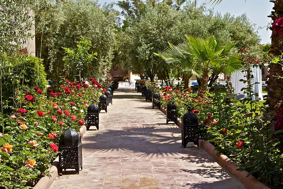 concrete pathway between plants, morocco, oriental, marrakech, HD wallpaper