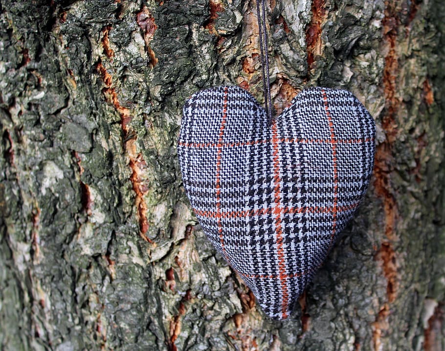 heart, the bark, tree, trunk, nature, texture, the background HD wallpaper