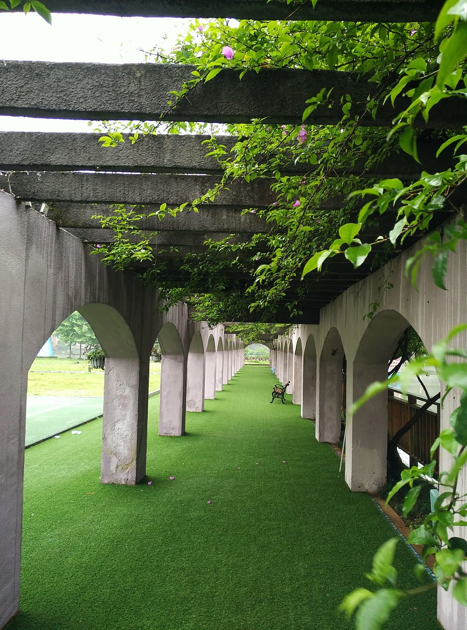 spring, gallery, green, plant, architecture, built structure HD wallpaper