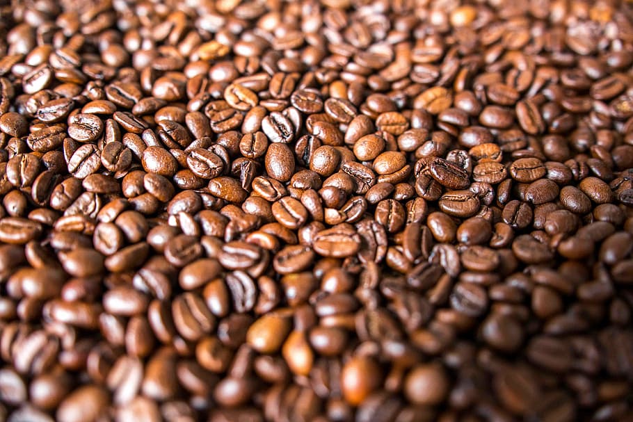 selective focus photography of bunch of coffee beans, caffeine HD wallpaper