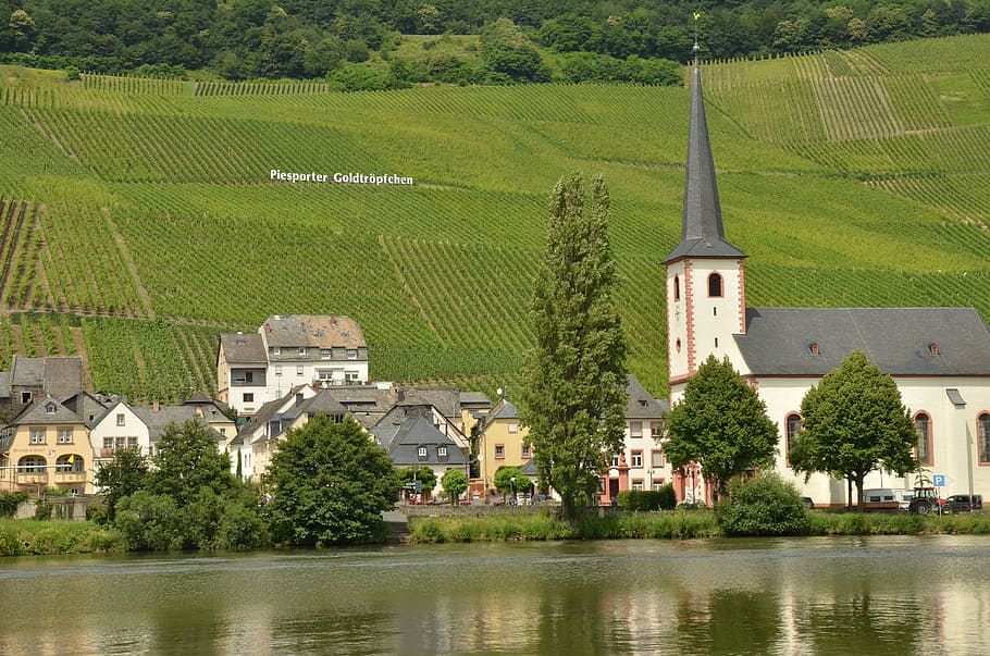 river, moselle, wine, piesport, germany, architecture, built structure, HD wallpaper