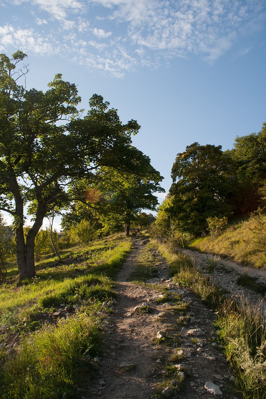 Path, Nature, Magic, Moravia, tree, landscape, outdoors, rural Scene HD wallpaper
