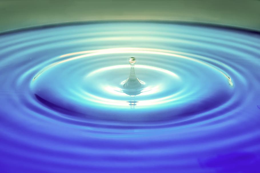 Macro Photography of Water Drop, blur, clean, close-up, drop of water HD wallpaper