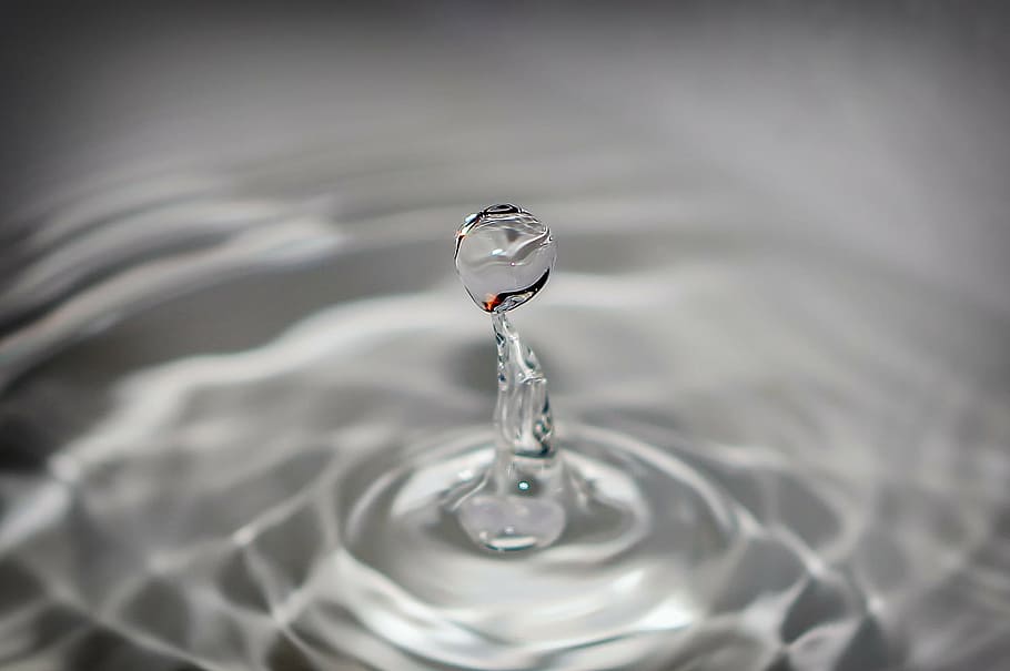 close up photography of water drops, droplet, splash, wet, amazing, HD wallpaper