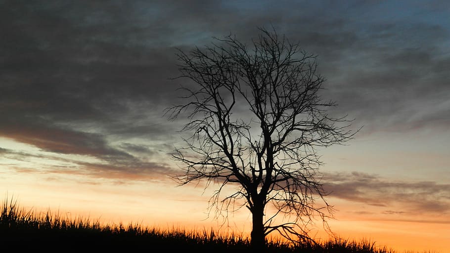 eventide, lutecia, autumn, sky, cloud - sky, beauty in nature HD wallpaper