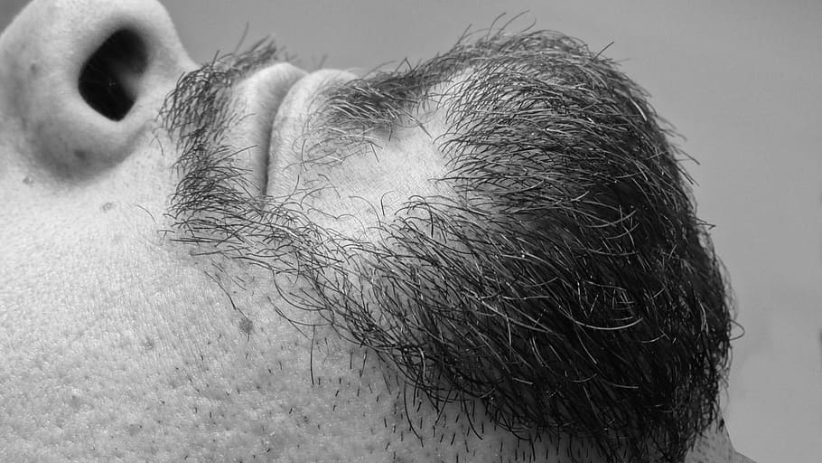 grayscale photo of man's beard, face, lengthen, black, black and white HD wallpaper