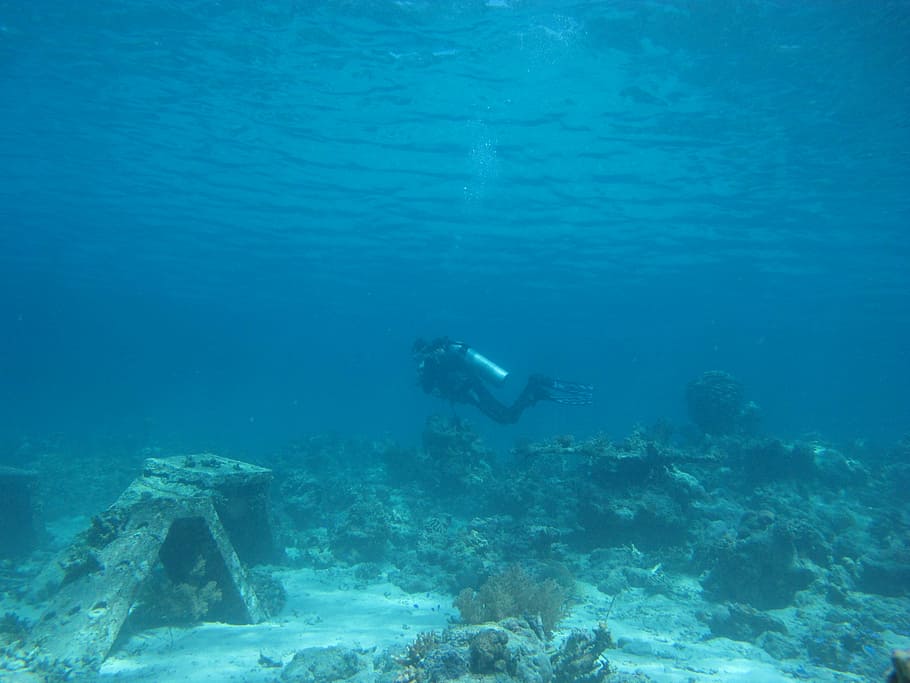 person diving underwater, sea, diver, rocks, ocean, oxygen, tank, HD wallpaper