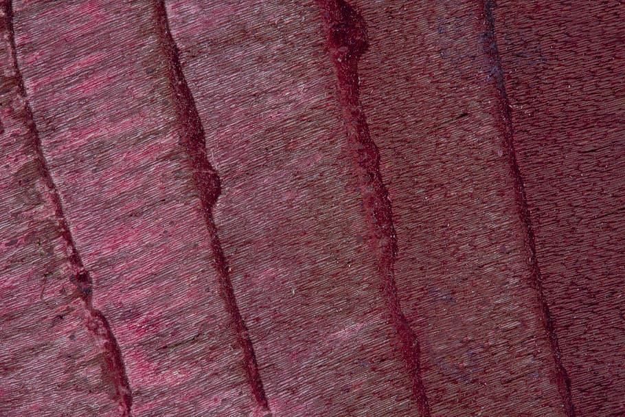 wood, bark, structure, fund, background, grain, nature, texture HD wallpaper