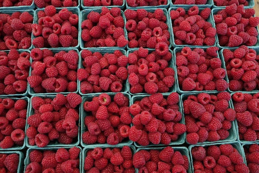 raspberry, food, fruit, fresh, sweet, healthy, red, food and drink HD wallpaper