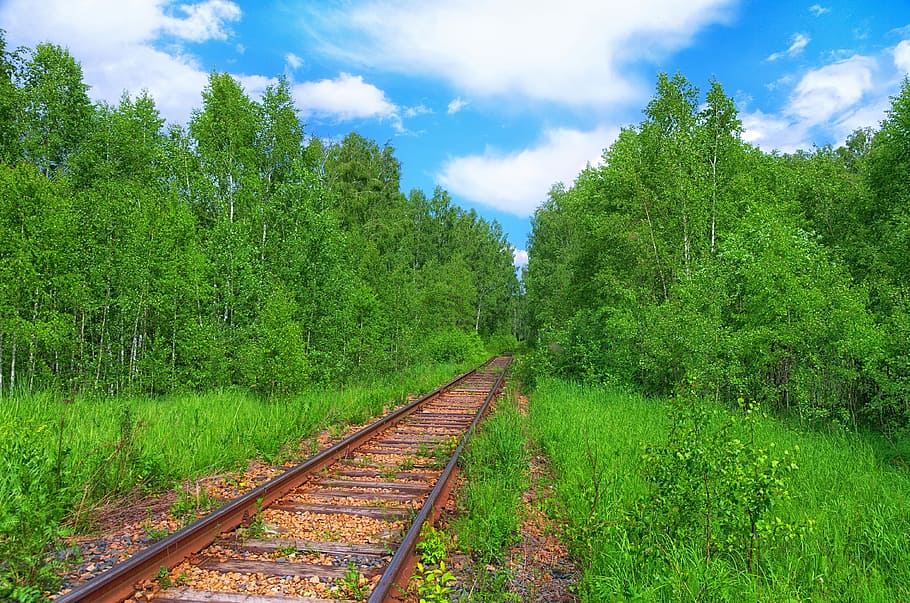 Summer, Forest, Road, Sleepers, Railway, rails, the way, road to nowhere HD wallpaper