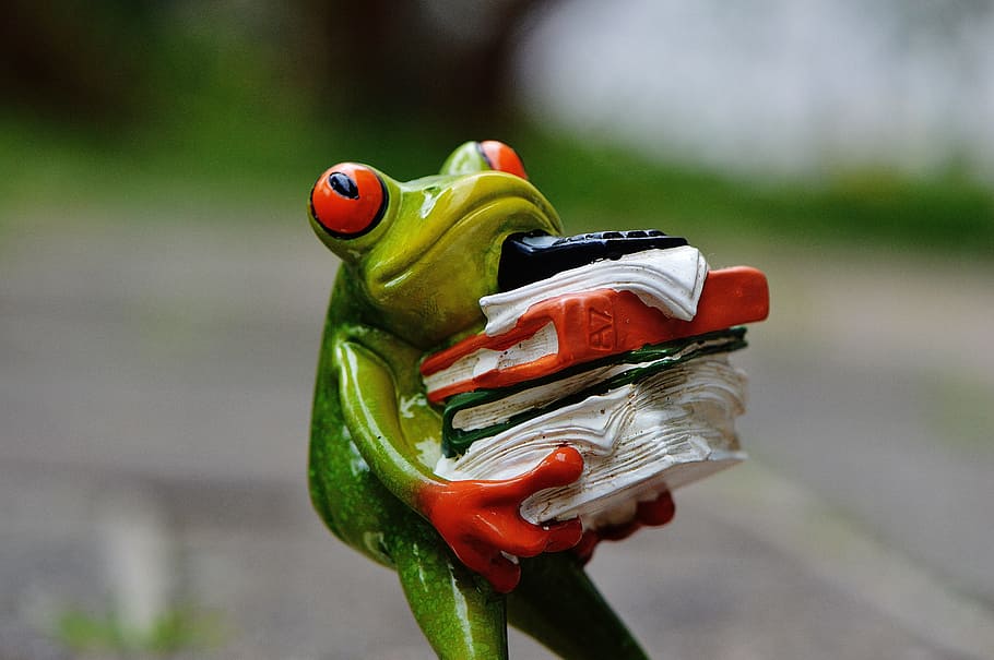selective focus photo of green ceramic frog holding books figurine HD wallpaper