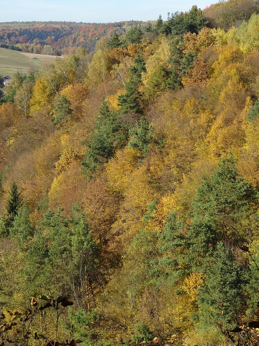 The Founding Fathers, Poland, the national park, landscape, autumn, HD wallpaper