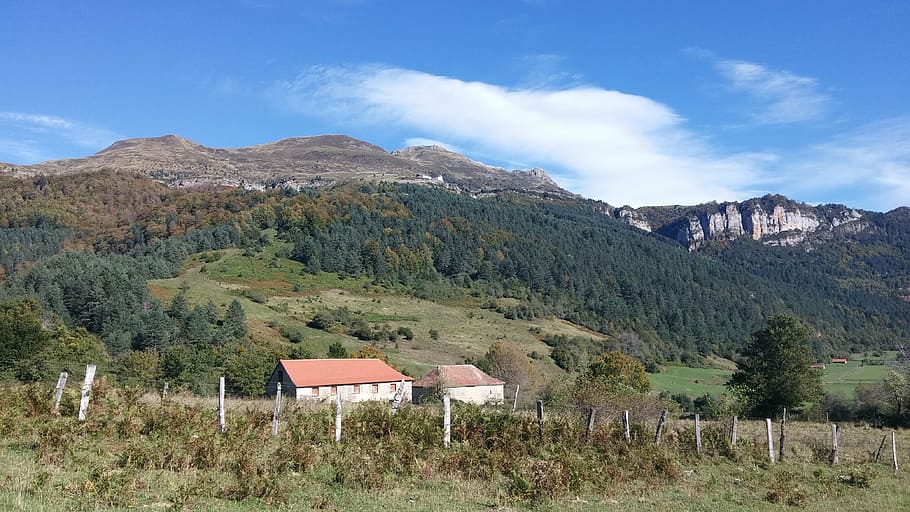 hermitage arrako, roncal valley, navarre, mountain, plant, tree HD wallpaper