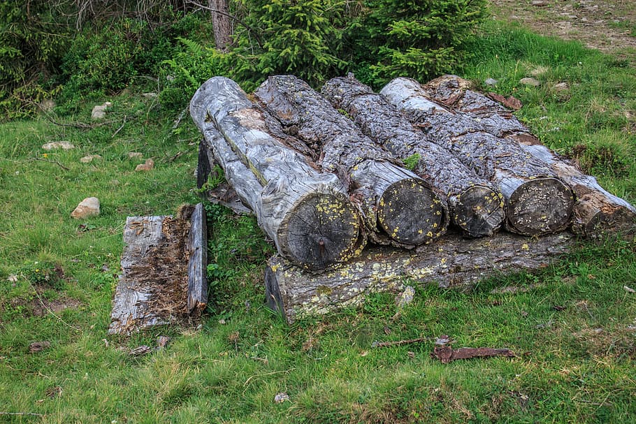 wood, log, nature, tree trunks, strains, tribe, grain, structure HD wallpaper