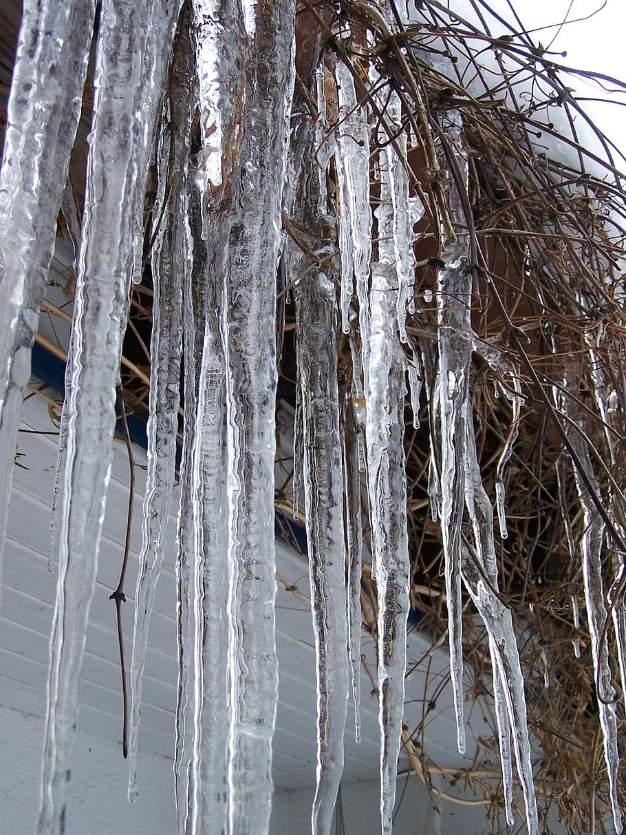 Icicle, Winter, Cold, Icy, Frozen, Ice, cold temperature, snow HD wallpaper