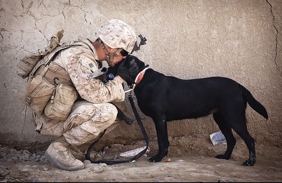 soldier kissing adult black Labrador retriever on head, dog, companion