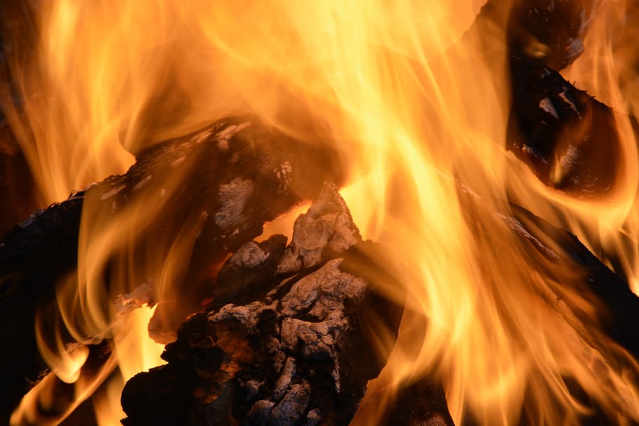 fire, coal, yellow, environment, wood, warm, barbecue, orange HD wallpaper