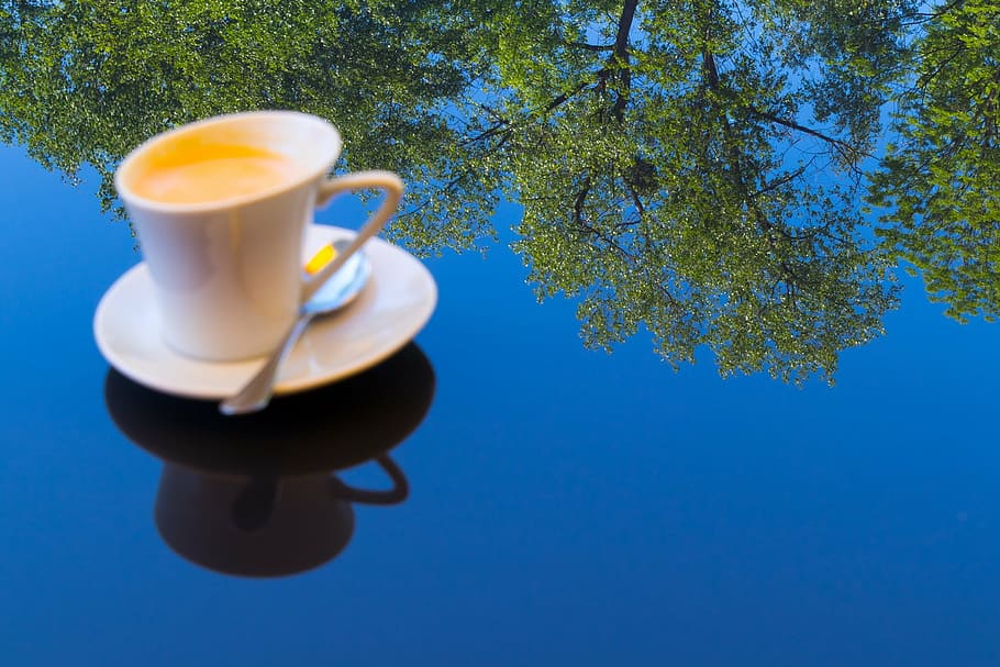 coffee, day, mirroring, forest, blue, sky, mug, tree, drink HD wallpaper