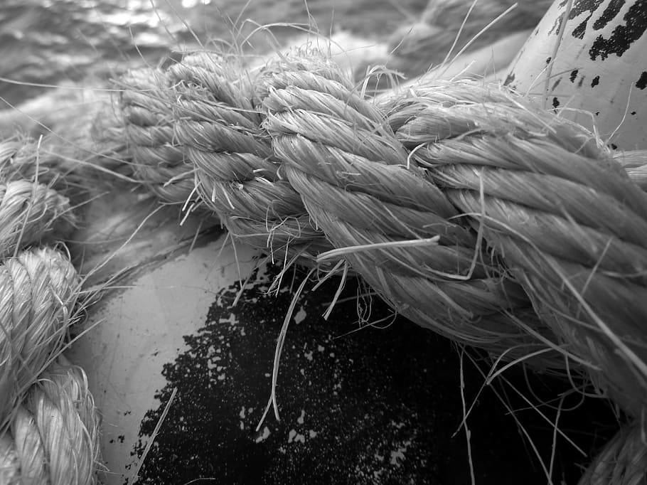 Rope, Leash, Dew, Close Up, ship accessories, cordage, twisted ropes HD wallpaper