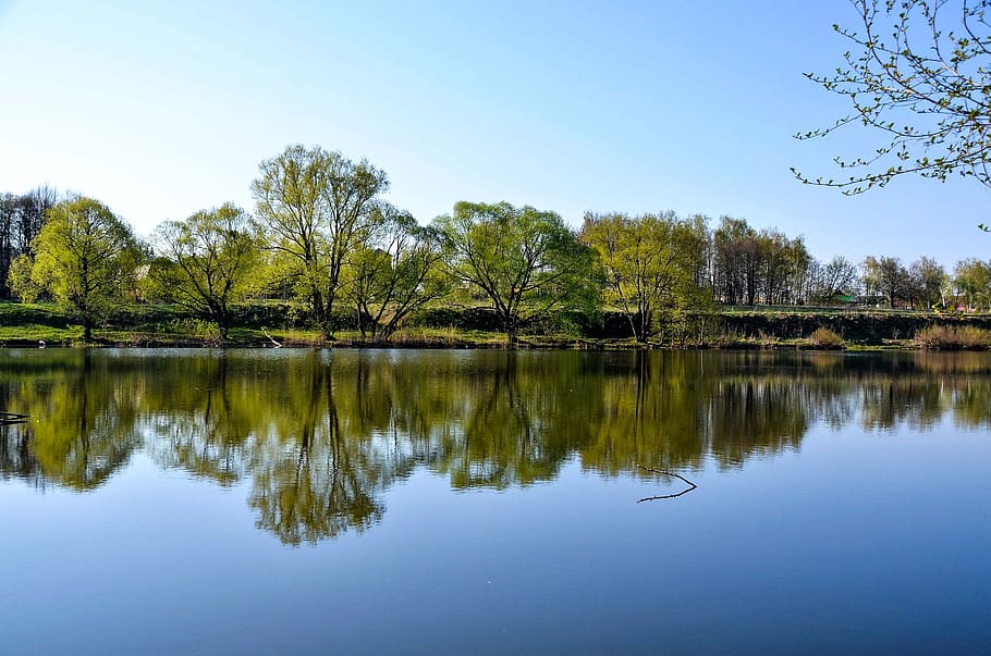 river, nature, landscape, reflection, tree, water, tranquility HD wallpaper