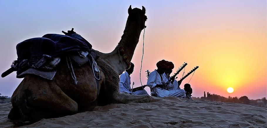 group of men sitting on sand near camel during sunset, Trekking
