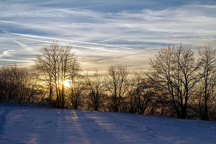 winter, snow, wintry, hochrhoen, wasserkuppe, rhön winter HD wallpaper