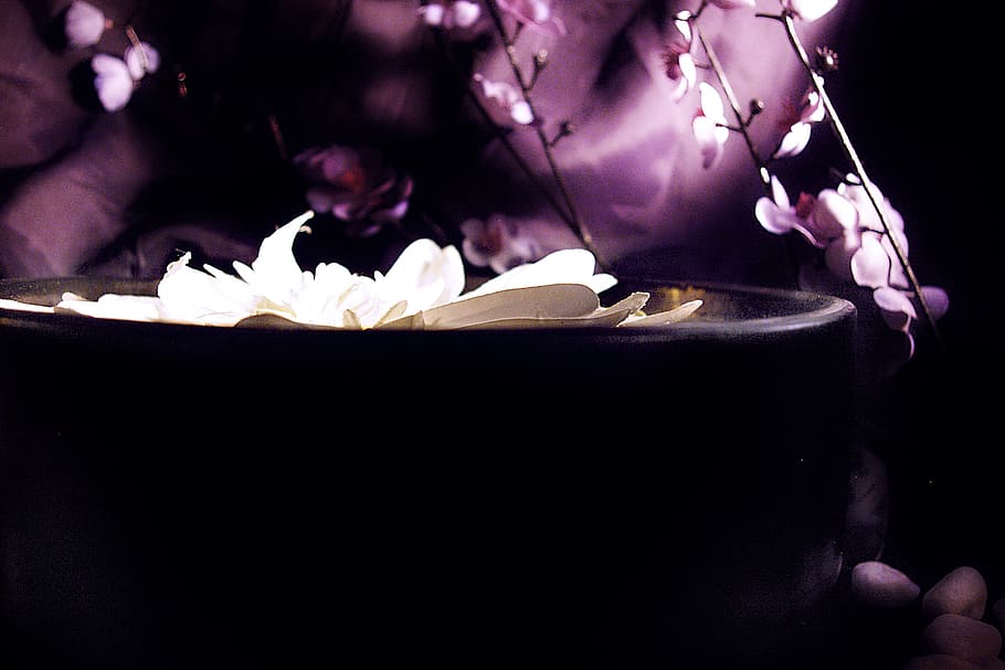 closeup photography of white flower, lotus, satin, zen, backgrounds HD wallpaper