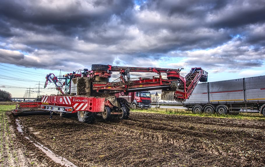 sugar beet, harvest, glean, pick, machine, agriculture, arable HD wallpaper