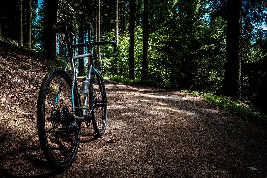 black and gray road bike near trees at daytime, black and green road bike under green leaf trees, HD wallpaper